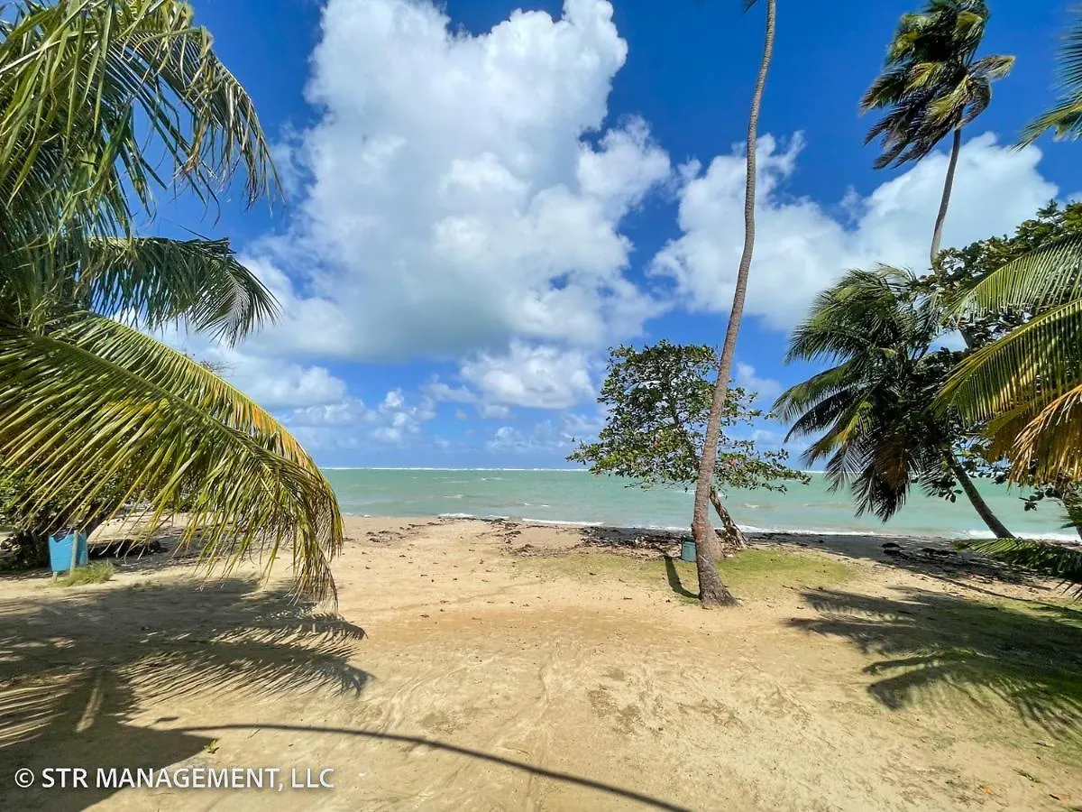Upscale Condo At Aquatika Beach & Vacation Villas Loiza Apartment